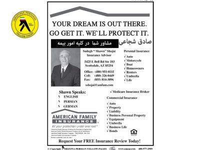 American Family Insurance