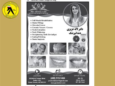 Pro-Dental Care